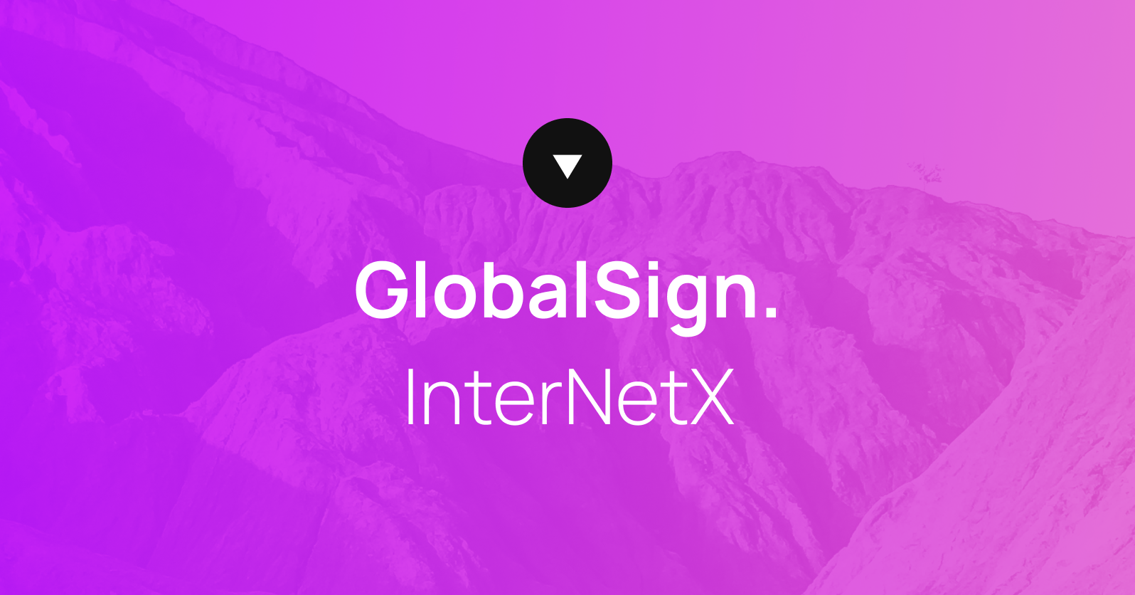 Globalsign Logo Premium Vector | Abstract Logo Of Business And Company