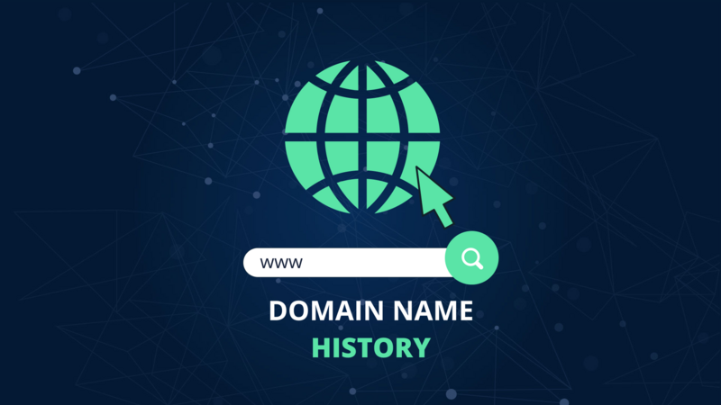 How did the Domain Name Industry develop?