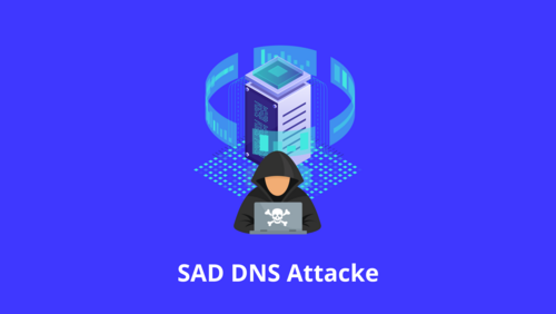 SAD DNS Attacke