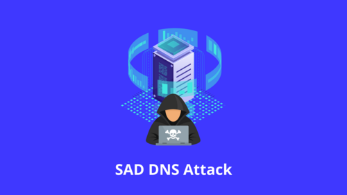 SAD DNS Attack