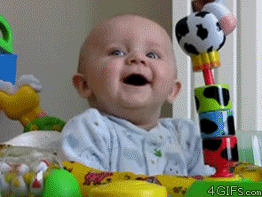 COM__8_.gif